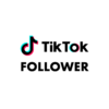 tiktok follower